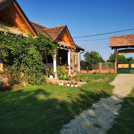 Ferienwohnung Amanet House Zasavica Exterior foto