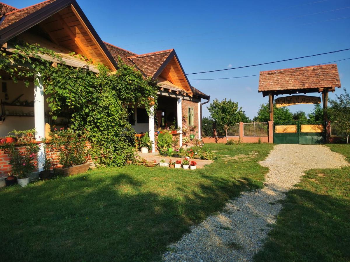 Ferienwohnung Amanet House Zasavica Exterior foto