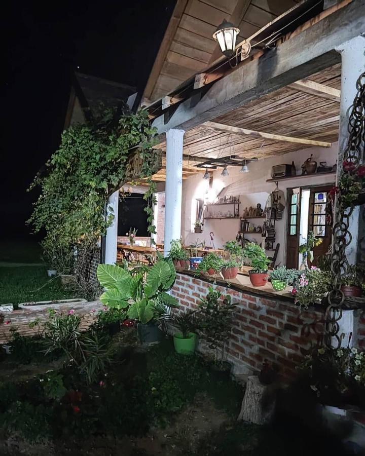 Ferienwohnung Amanet House Zasavica Exterior foto
