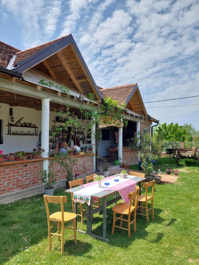 Ferienwohnung Amanet House Zasavica Exterior foto